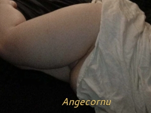 Angecornu