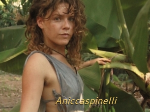 Aniccaspinelli