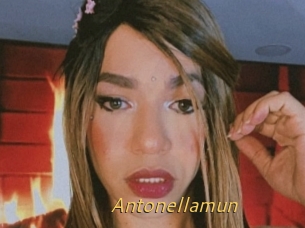 Antonellamun