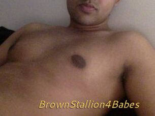 BrownStallion4Babes