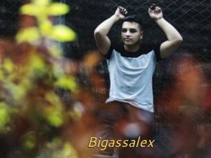 Bigassalex