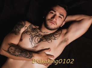 Blakeking0102