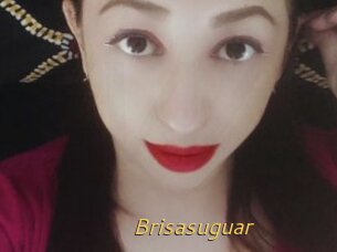 Brisasuguar