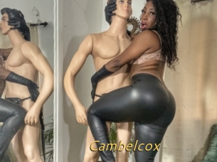 Cambelcox