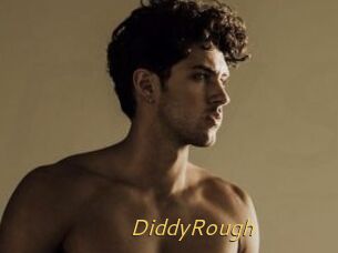 DiddyRough