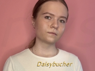 Daisybucher