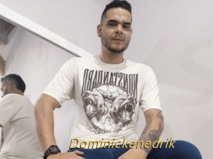 Dominickenedrik