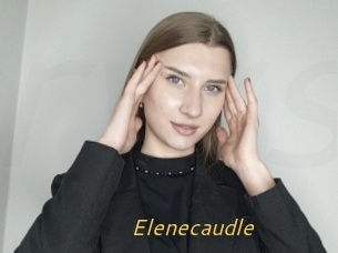 Elenecaudle