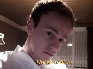 TheNewStud