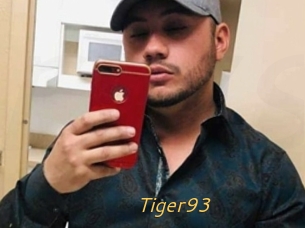 Tiger93